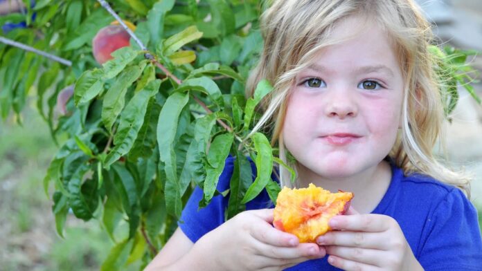 919bb3b4-9fb1-4ce9-8434-53e91edbef63