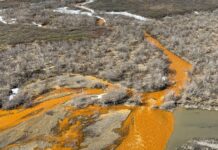 Арктика швидко нагрівається: новий звіт про рекордну спеку та токсичний стік