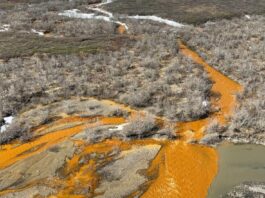 Арктика швидко нагрівається: новий звіт про рекордну спеку та токсичний стік