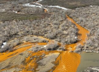 Арктика швидко нагрівається: новий звіт про рекордну спеку та токсичний стік