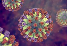 Розуміння вірусів і біологічних термінів