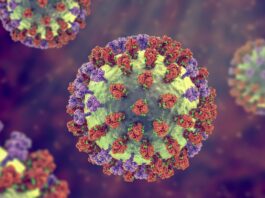 Розуміння вірусів і біологічних термінів