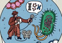 Наука дива: як The New York Times знаходить радість у неспокійному світі