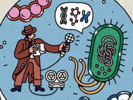 Наука дива: як The New York Times знаходить радість у неспокійному світі