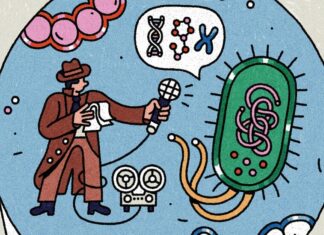 Наука дива: як The New York Times знаходить радість у неспокійному світі