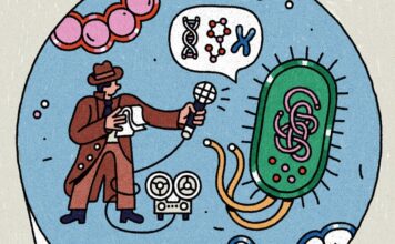 Наука дива: як The New York Times знаходить радість у неспокійному світі