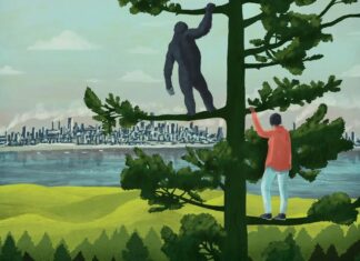 Переосмислення природи: чому культура тварин потребує нового погляду