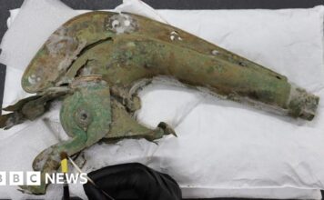 Рідкісний сигнал із труби залізного віку та стандарт, знайдений під час розкопок у Тетфорді