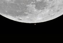 Рідкісна місячна подія: повний місяць «Сніжний місяць» на мить приховає найяскравішу зірку в Леві