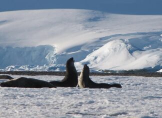 Зупинення незворотних змін в Антарктиді залежить від вибору, зробленого сьогодні