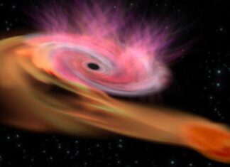 Gli astronomi rilevano un raro buco nero “anello mancante” che divora una stella