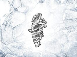 РНК-молекула досягає майже самовідтворення: крок ближче до розуміння походження життя