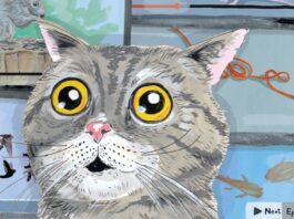 Кішкам Тепер Є Свої Телеканали 📺