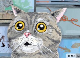 Кішкам Тепер Є Свої Телеканали 📺