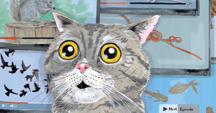 8b89bcaf-b343-420f-8824-ce476eacbf63