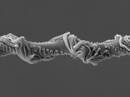 Павуки, що кидають: Як Мережі Ловлять Видобуток 🕷️