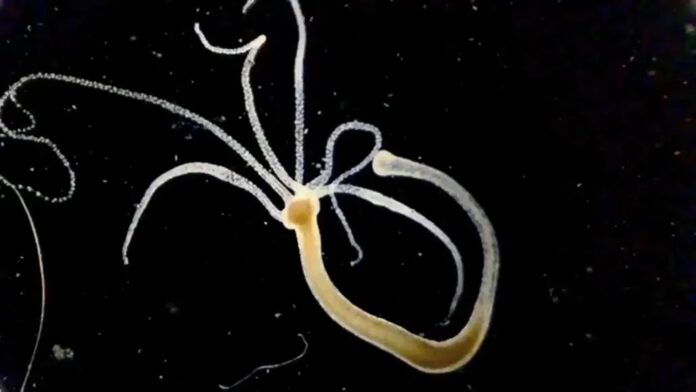 a0898cfb-60fe-4c5c-b411-a2315a11a99b