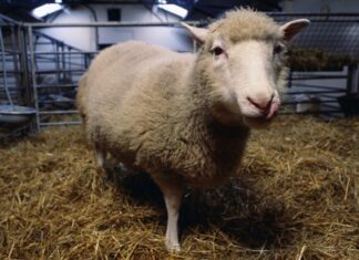 Основи життя: від генетики до екосистем