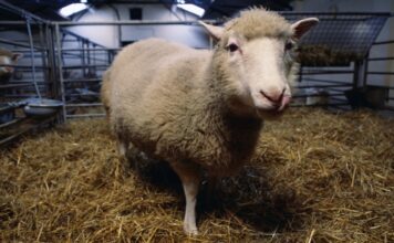 Основи життя: від генетики до екосистем