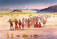 Ancient DNA Shows Farming Nearly Broke the Andes