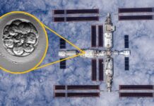 La Cina invia embrioni umani artificiali nello spazio