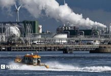 The Rotterdam Paradox: How a fossil port tries to turn green