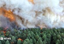 Пожежні борються з «буйною» пожежею на південь від Парижа