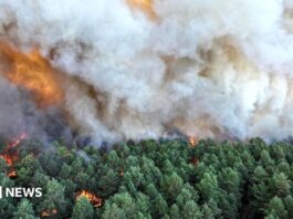 Пожежні борються з «буйною» пожежею на південь від Парижа