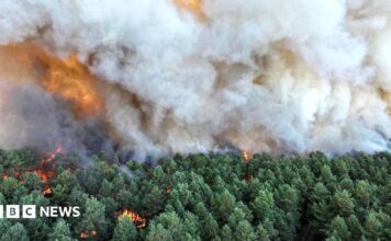 Пожежні борються з «буйною» пожежею на південь від Парижа