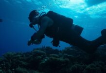 Hoe je ‘Expedition X: Atomic Sharks’ kunt bekijken tijdens Shark Week 2026