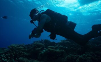 Як подивитися «Експедиція X: Атомні акули» на Shark Week 2026