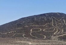 Кішка, що спостерігала з перуанських пагорбів протягом 2000 років